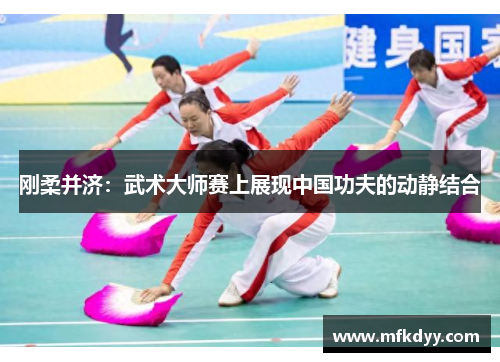 刚柔并济：武术大师赛上展现中国功夫的动静结合