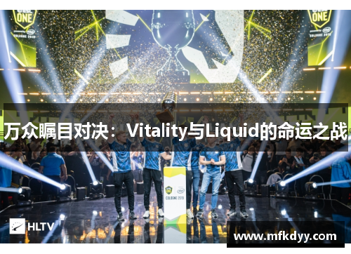 万众瞩目对决：Vitality与Liquid的命运之战